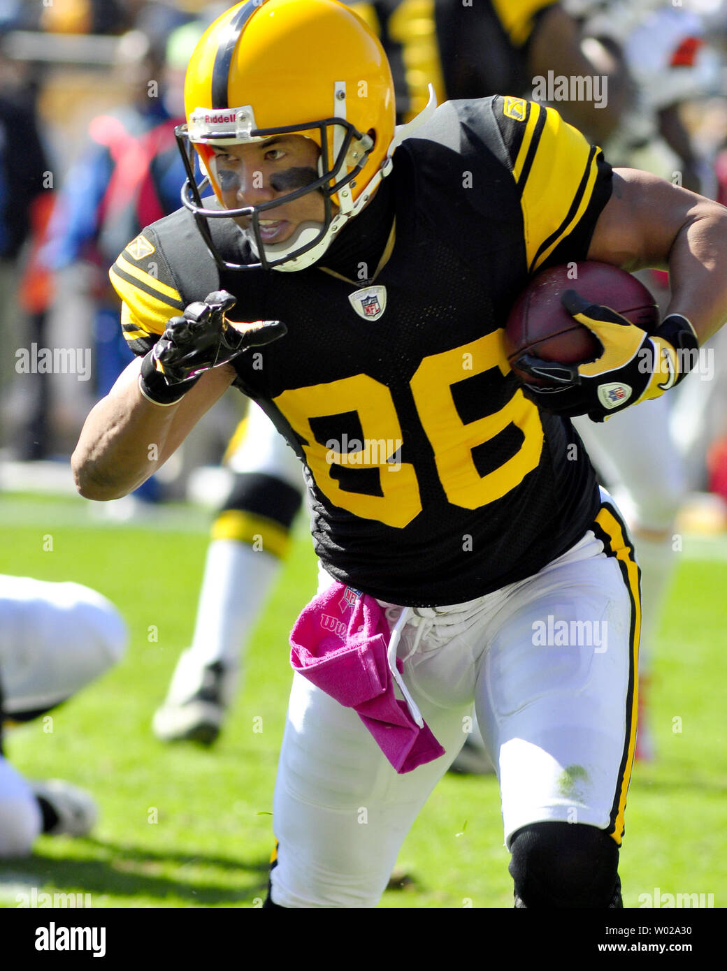 Hines Ward Wallpaper