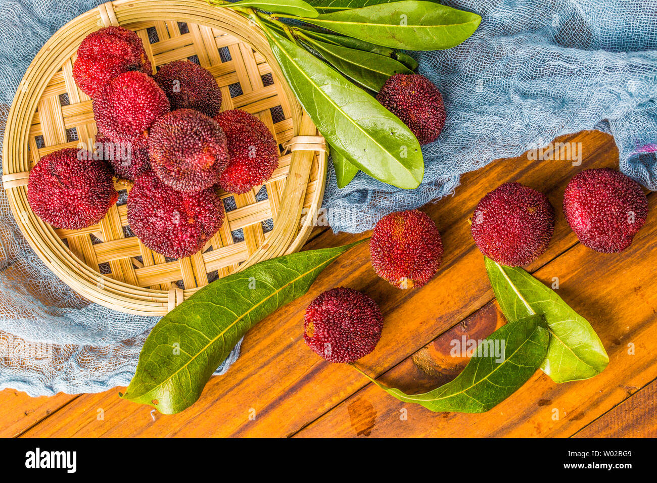 Bayberry leaves hires stock photography and images Alamy