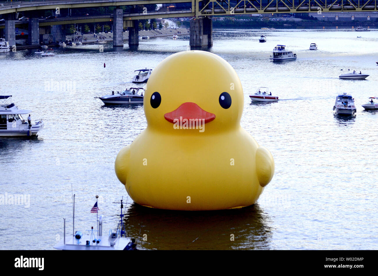 rubber ducky us