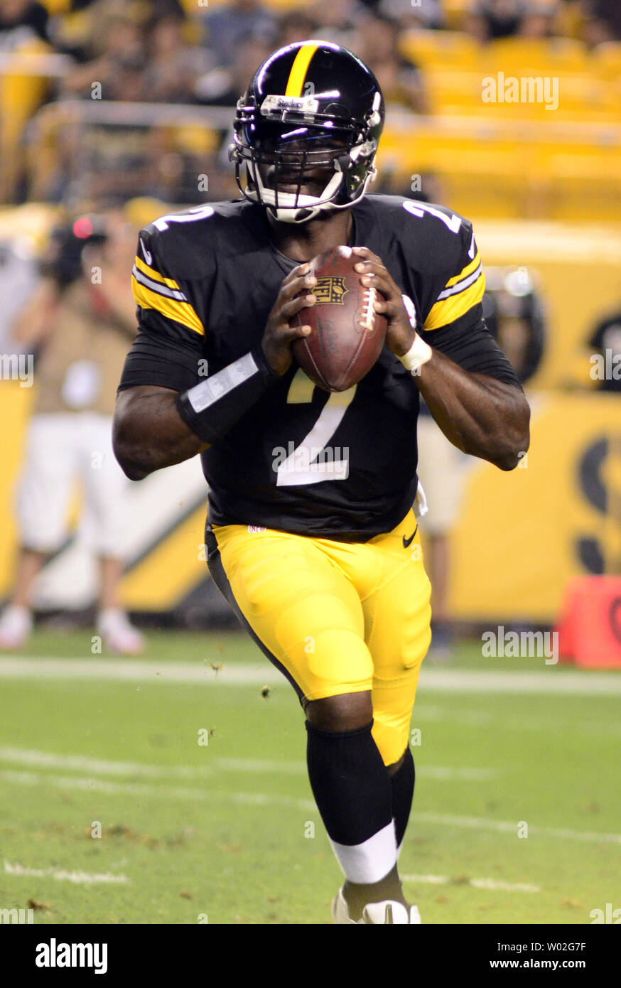 Pittsburgh Steelers quarterback Mike Vick steps back to pass in the first  quarter against the Carolina