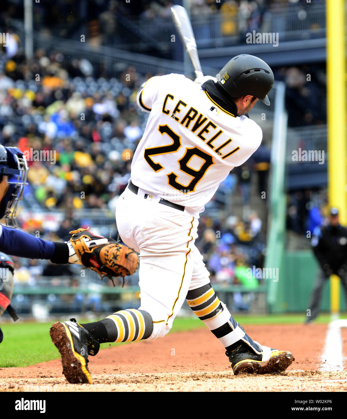 Cervelli hi-res stock photography and images - Page 3 - Alamy