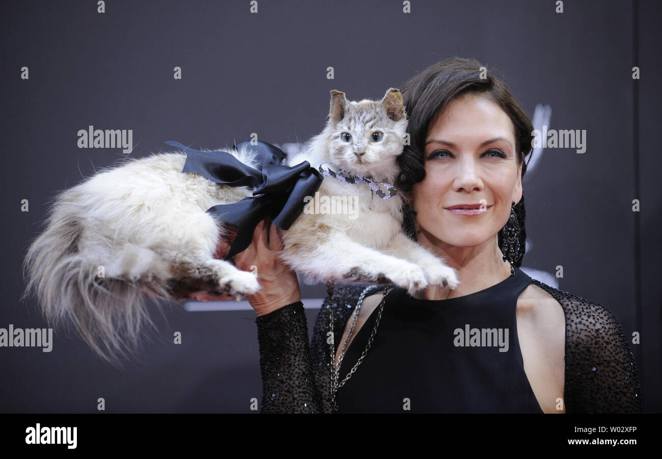 Stacy Haiduk attends the 36th Annual Daytime Emmy .Awards in Los Angeles on August 30, 2009.      UPI/ Phil McCarten Stock Photo