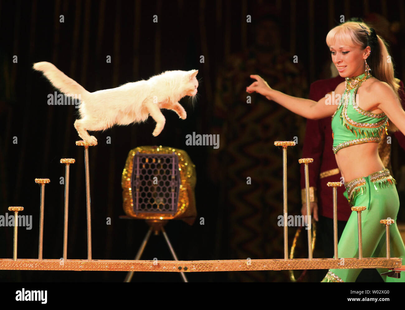 Russian animal trainers perform with cats in a Russian circus in Beijing on  August 26, 2009. UPI/Stephen Shaver Stock Photo - Alamy