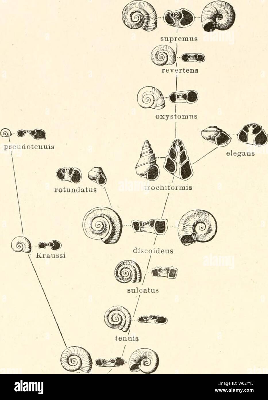 Get Wiedersprueche Desktop Wallpaper