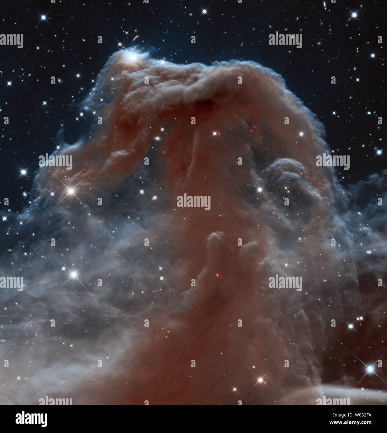 The rich tapestry of the Horsehead Nebula pops out against the backdrop ...