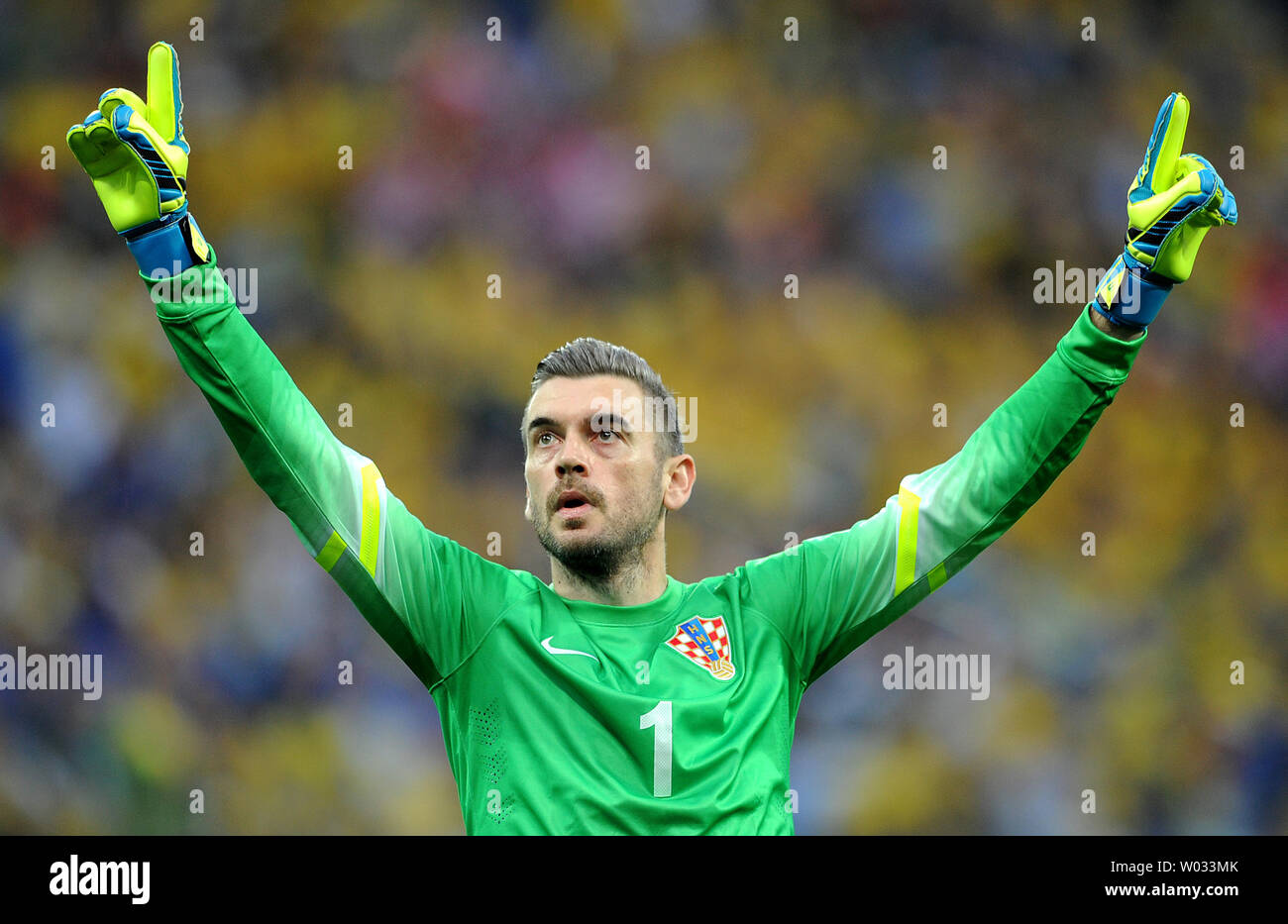 Stipe Pletikosa of Croatia celebrates the opening goal during the 2014 FIFA World Cup Group A match at the Arena Corinthians in Sao Paulo, Brazil on June 12, 2014. UPI/Chris Brunskill Stock Photo
