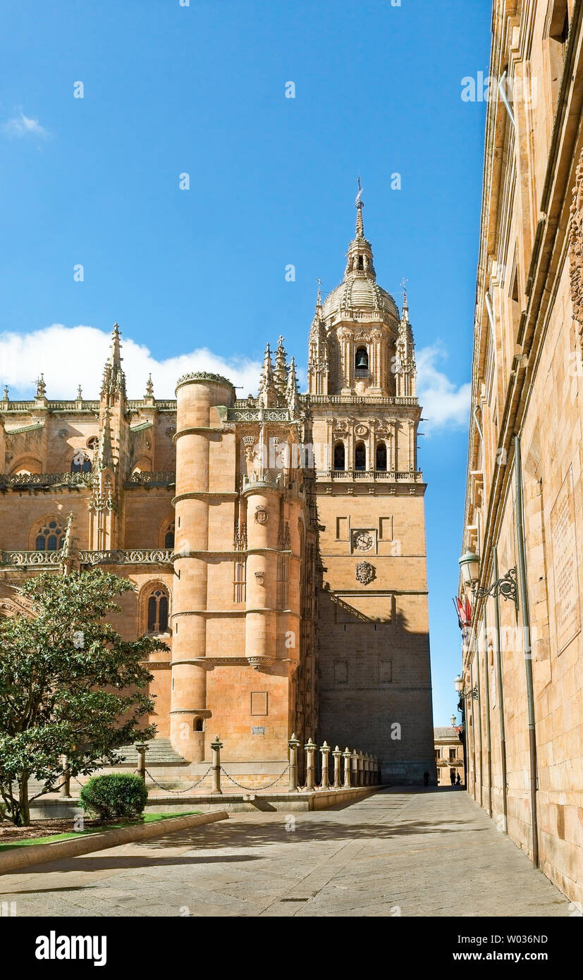 Towers of the oldest university in Salamanca, Spain Stock Photo Alamy