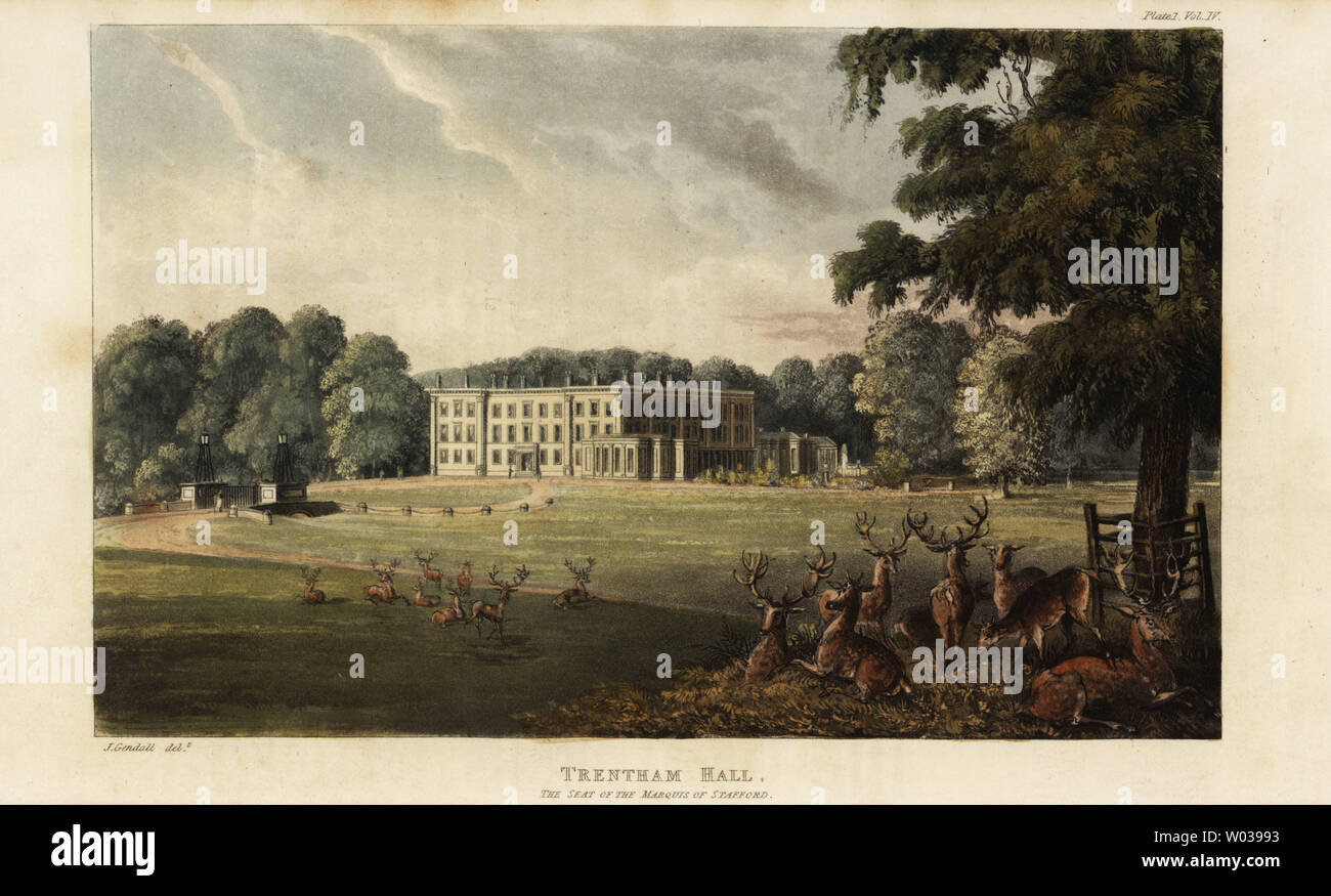 Herd of deer in front of Trentham Hall, seat of Granville Leveson-Gower, Marquis of Stafford. House and gardens designed by architect Henry Holland. Handcoloured copperplate engraving after an illustration by John Gendall from Rudolph Ackermann’s Repository of Arts, London, 1823. Stock Photo