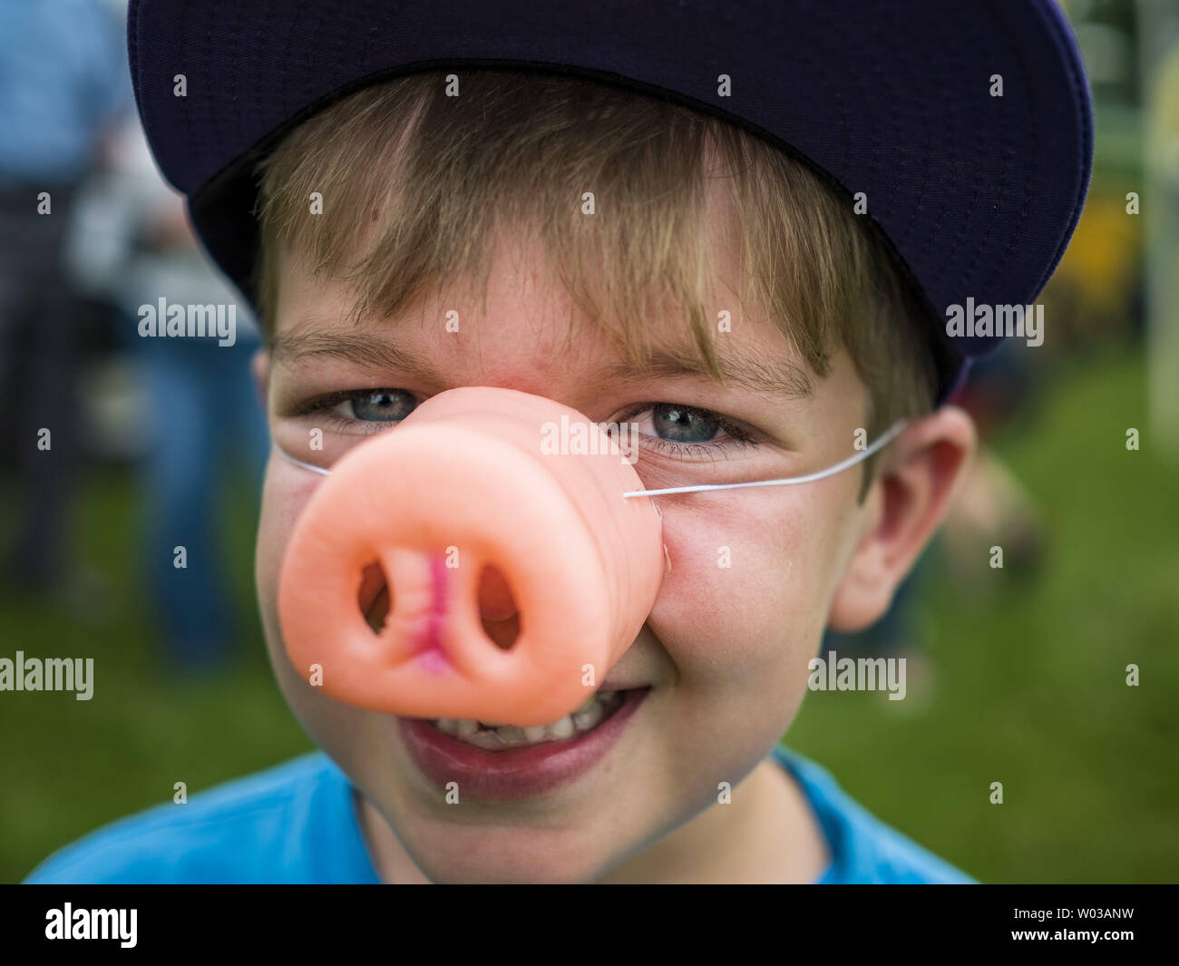 Pig racing hi-res stock photography and images - Alamy