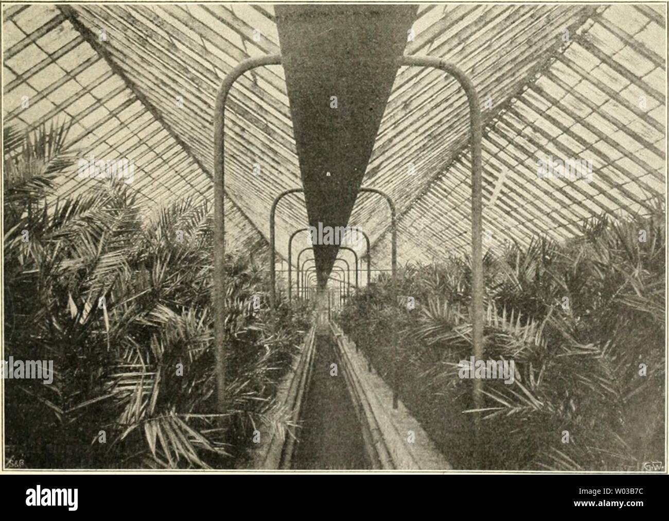 Originalaufnahme Stock Photos Originalaufnahme Stock Images Alamy