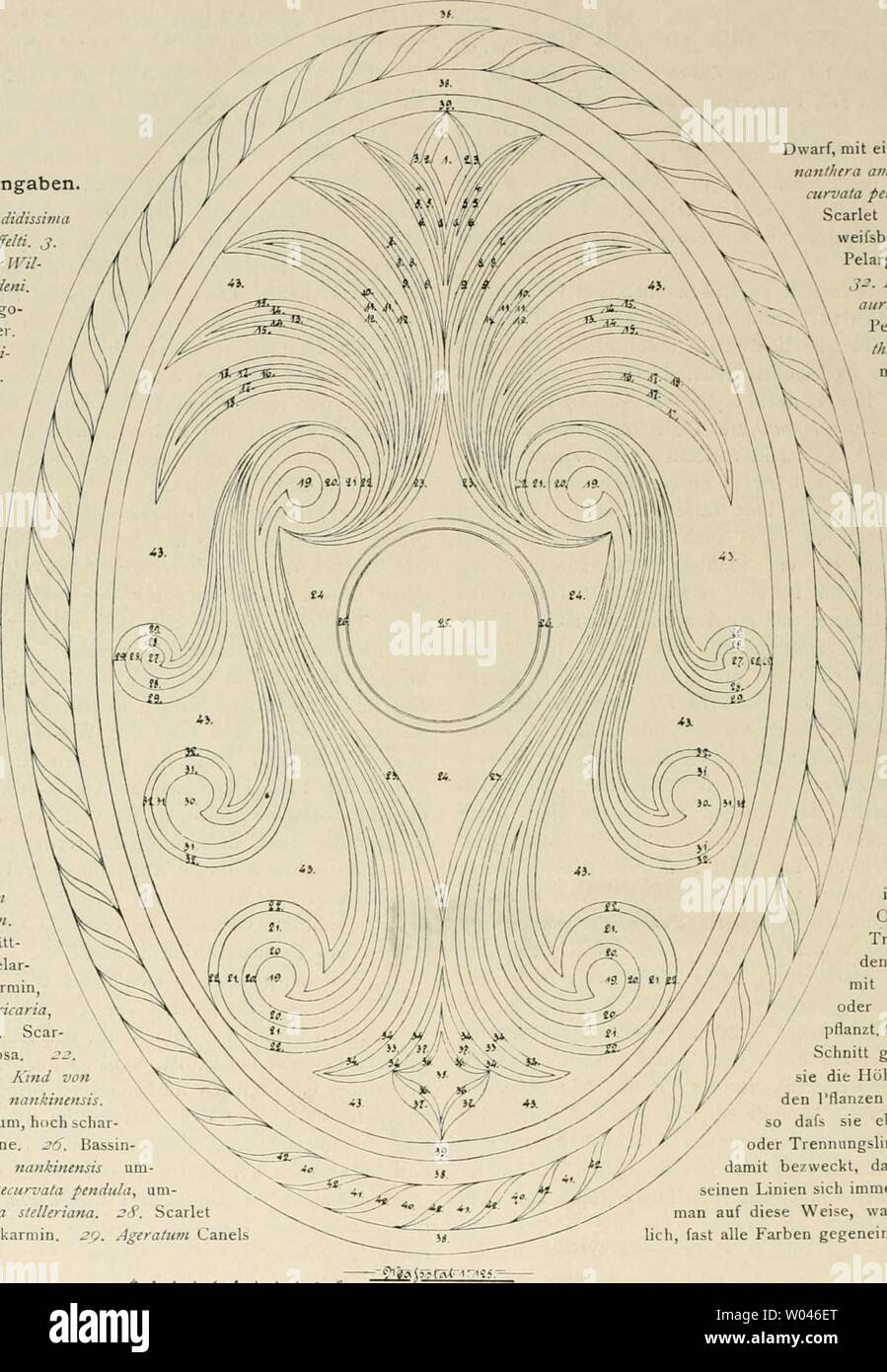 Archive image from page 239 of Die Gartenwelt (1897). Die Gartenwelt  diegartenwelt03berl Year: 1897  210 Die Gartenwelt. 111, i8 Bepflanzungsangaben. /. Centaurea candidisswia Vera. s.ColeusVinchaffdti. , Lobelia ennoides Kaiser Wil- hehn. . Jresine Lindeni, 5. Scarlet Pelargo- niura Henry Herrkofer. 6. Pyrethriim partheni- foliuin aurenm. 7. Scarlet Pelargonium Henry Herrkofer. S. Arlemisia stelle- riana. p. Ageralzim max. Canelä Dwarf, blau. 10. Scar- let Pelargonium, Rosa. 11. Achyran- thes VersL-haffelti. Ä /.?. Pyrelhrwii. Scarlet Pe-    t einem Rand von Aller- nanthera amabilis. JO. Yti Stock Photo