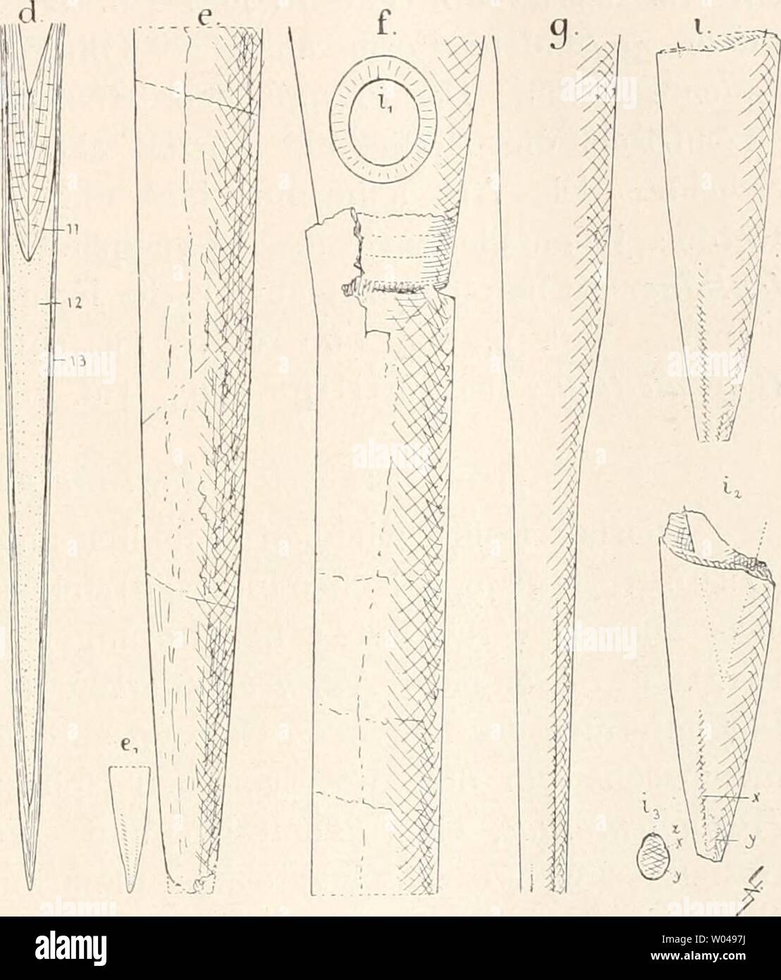 Archive image from page 246 of Die fossilen Tintenfische; eine paläozoologische. Die fossilen Tintenfische; eine paläozoologische Monographie  diefossilentinte00naef Year: 1922  Fig. 86. Zur Morphologie von Salfii'tig-oteuthis (a—d) und Megateuthis (e—i). g 1/4, andere l/2 nat. Größe. a „B. acuarius gracilis' nach Quenstedt 1845, Taf. 25, Fig. 4« von der linken Seite. Lias s Holzmaden. al Querschnitt, a2 Ventralansicht der Spitze. b „B. acuarius tubularis' ibid. Fig. 10 a, £, Querschnitt, b2 Ventralansicht der Spitze. Lias s Ohmden. c „B. acuarius macer' (ibid. Fig. 21). Lias £ Ohmden. ct Bruc Stock Photo