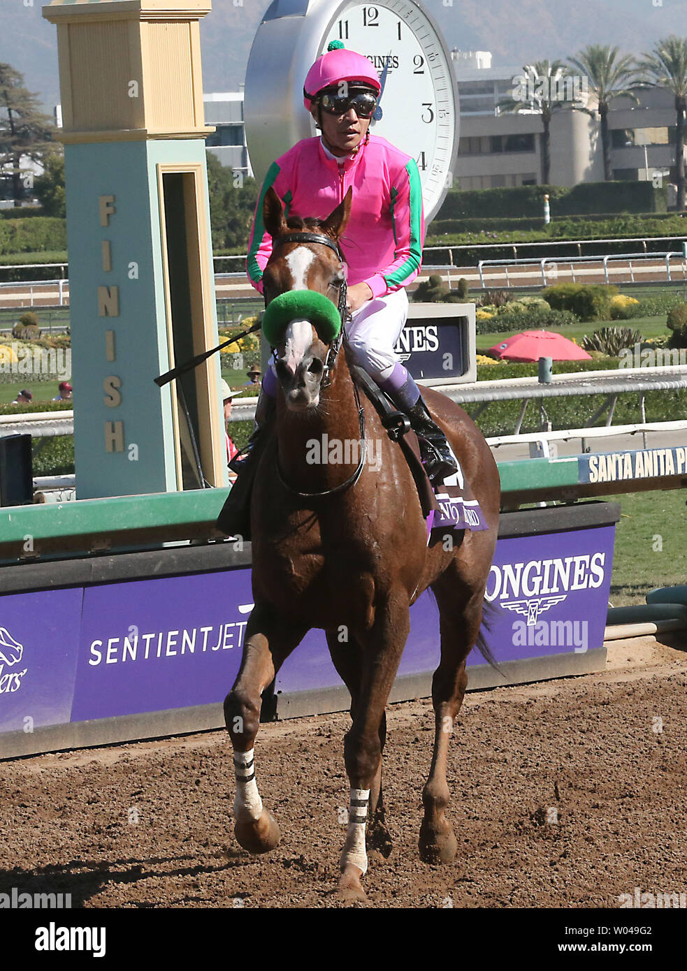 Japanese jockey Yutaka Take rides Nuovo Record after losing in the