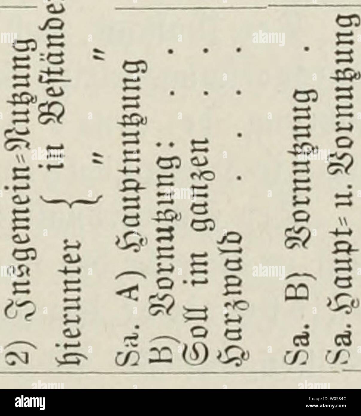 Archive image from page 310 of Die Forstbetriebseinrichtung (1889). Die Forstbetriebseinrichtung  dieforstbetriebs00granuoft Year: 1889  Â®ev jÃ¤t)i1ici}e 9?uuugSpIaii jc. 295 89 Â« :=H S S P Â§=  jo  5 ' ' Ãunitu aojg qun ;ctno H SS S 3 Ãoa?aÂ flj o (AI COkO Â«0 + aSlS 6to CJsQ =3 &lt;Â»' ?U$ SS 30Â£g qun ';ctnpÂ§ j I wÂ«S' Â§= uaSuoÃ Uli 3 ' S i-' -ECO V. Â« Â® uq 0.1 d Â«0 3(PPjg s? â¢i?- Â«lojaqoiÃ gaÃuqit uaig) uaSuÃ¼Ã Uli fÃ¶ ;aDÂ§q3iÂ§ ÃunjpjqÃ¼aaun &; s?. Â«0 CO (M B  CQ m oo lOO oa c 1-H o o lO lO ooo eocq CC lO CS 'o o â&gt; CO (N CD 00 (t) CO iÃ CO CO CO CO ou oo oÂ» ffl) XO IÃ 'r â Stock Photo