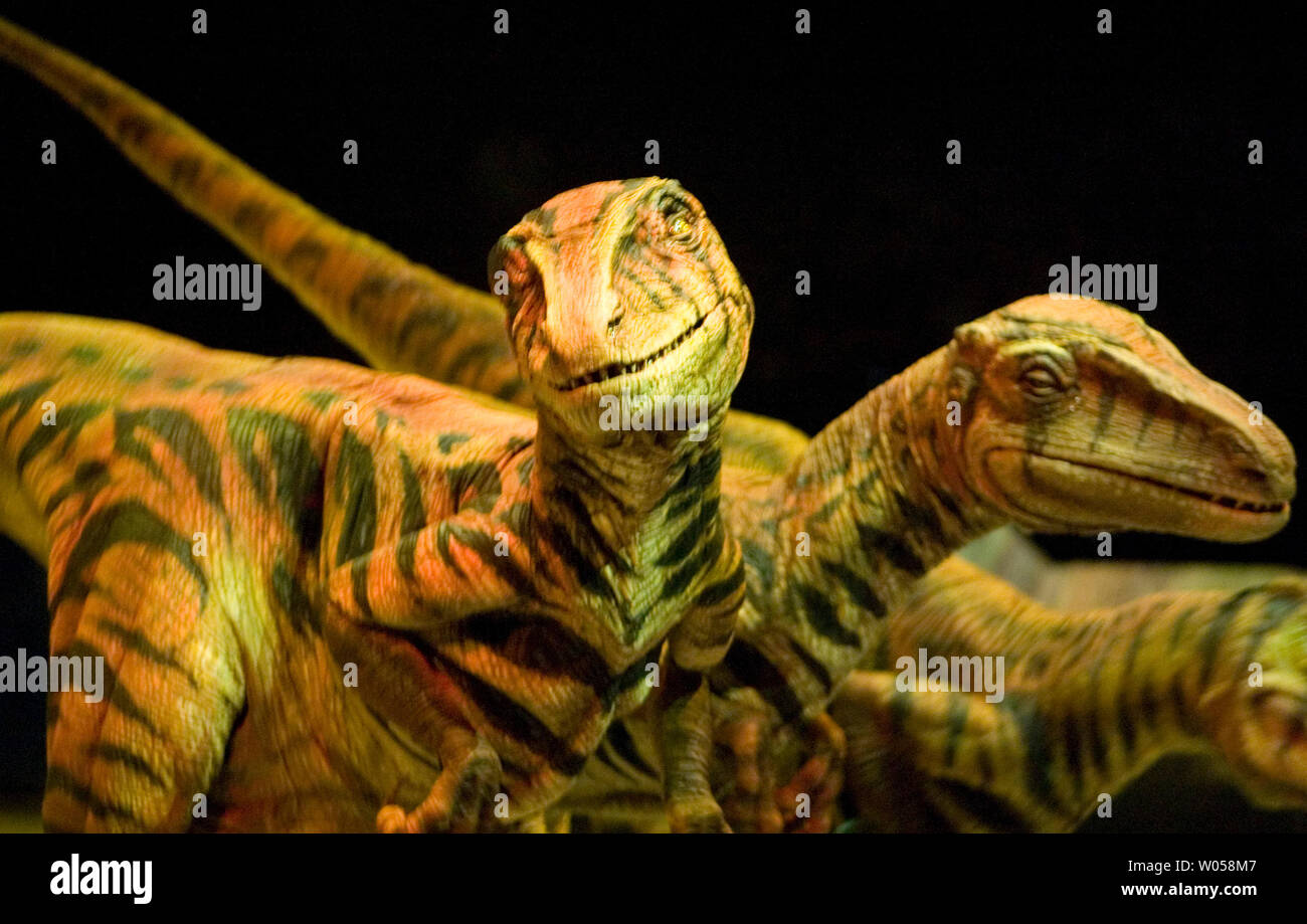 Walking with dinosaurs the live experience hires stock photography and