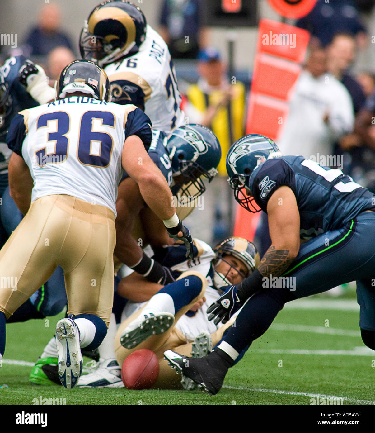 Seattle Seahawks Lofa Tatupu is introduced before an NFL football game  against the San Francisco 49ers, Sunday, Sept. 12, 2010, in Seattle. (AP  Photo/Ted S. Warren Stock Photo - Alamy