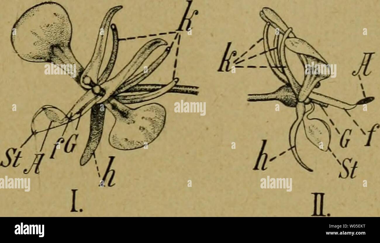 Umgekehrt High Resolution Stock Photography And Images Alamy