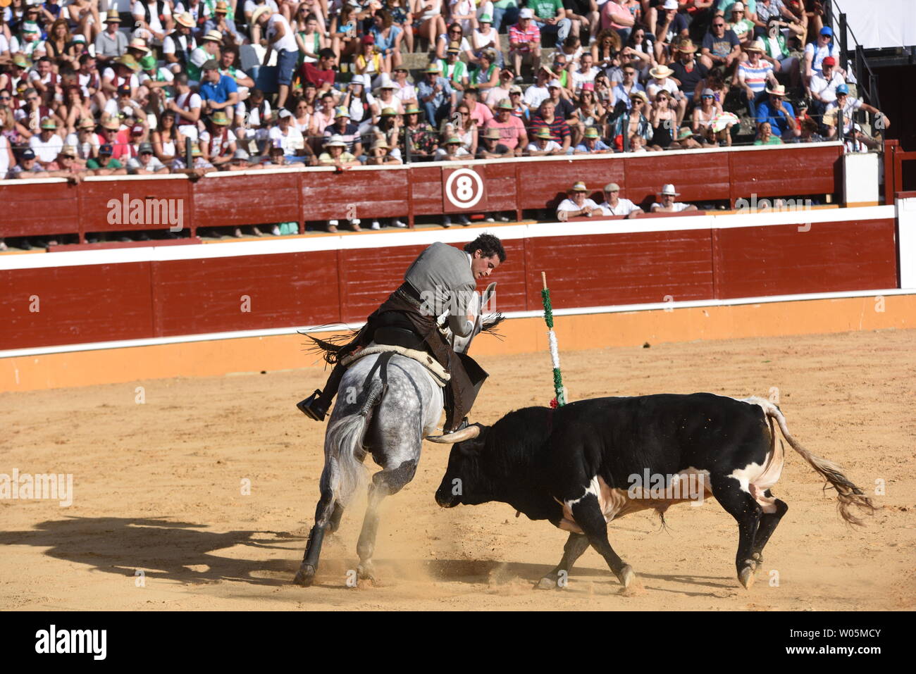 Soria, Spain. 26th June, 2019. Mario Perez, a Spanish matador on horseback, performs with a Benitez Cubero ranch bull during a bullfight at the La Chata bullring in the 2019 San Juan festival in Soria. Credit: SOPA Images Limited/Alamy Live News Stock Photo