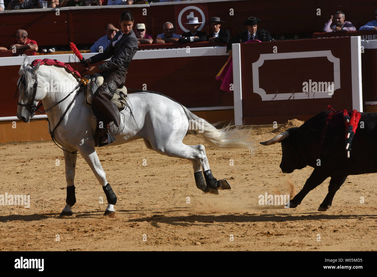 Soria, Spain. 26th June, 2019. Lea Vicens, a French matador on horseback, performs with a Benitez Cubero ranch bull during a bullfight at the La Chata bullring in the 2019 San Juan festival in Soria. Credit: SOPA Images Limited/Alamy Live News Stock Photo