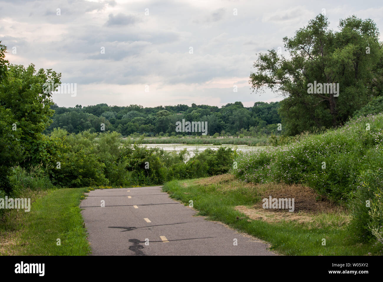 Rice marsh lake park hires stock photography and images Alamy