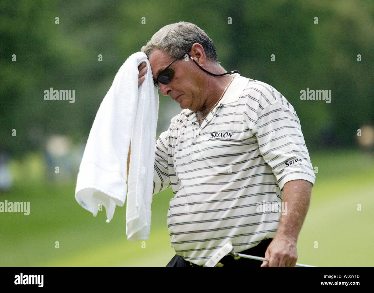 Fuzzy zoeller hires stock photography and images Alamy