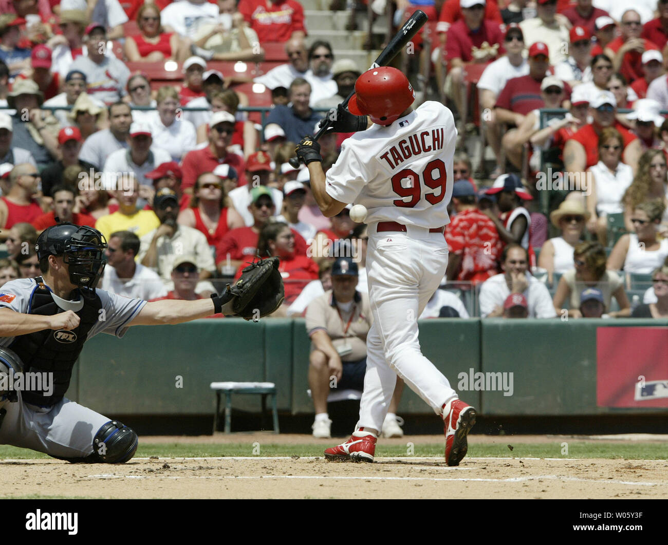 St. Louis Cardinals So Taguchi turns as he gets hit by a New York Mets ...