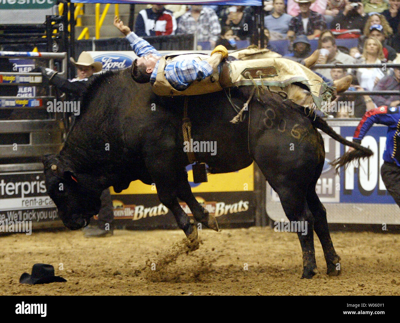 bull big amateur tube