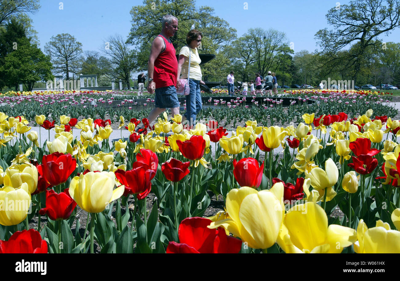 Visitors To The Jewel Box In Forest Park Walk Past The Flowers On Display At The Tulip Festival In St Louis On April 17 2005 Thousands Of Tulips Are Arranged In Various