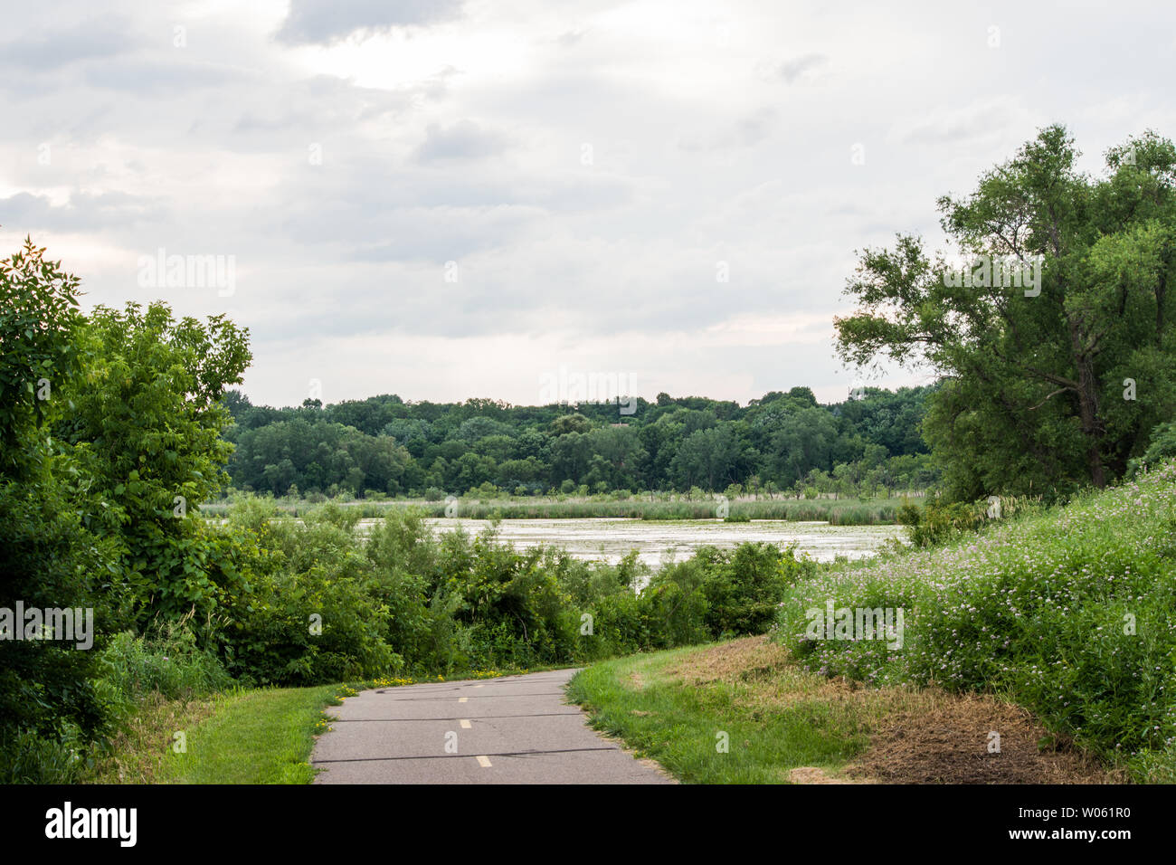 Rice Marsh Lake, Minnesota Stock Photo Alamy