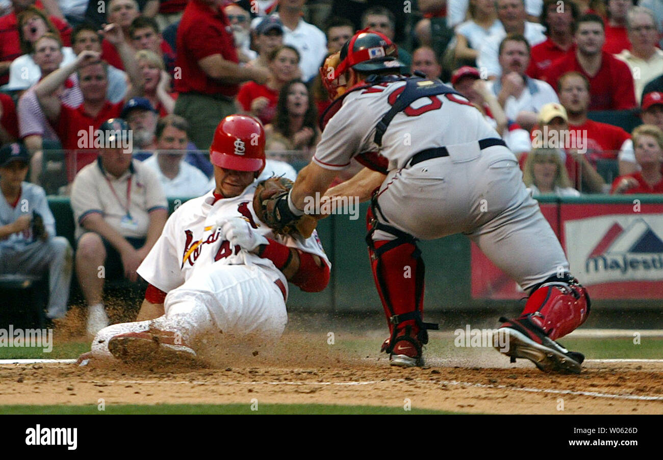 St louis cardinals catcher yadier hi-res stock photography and images -  Alamy