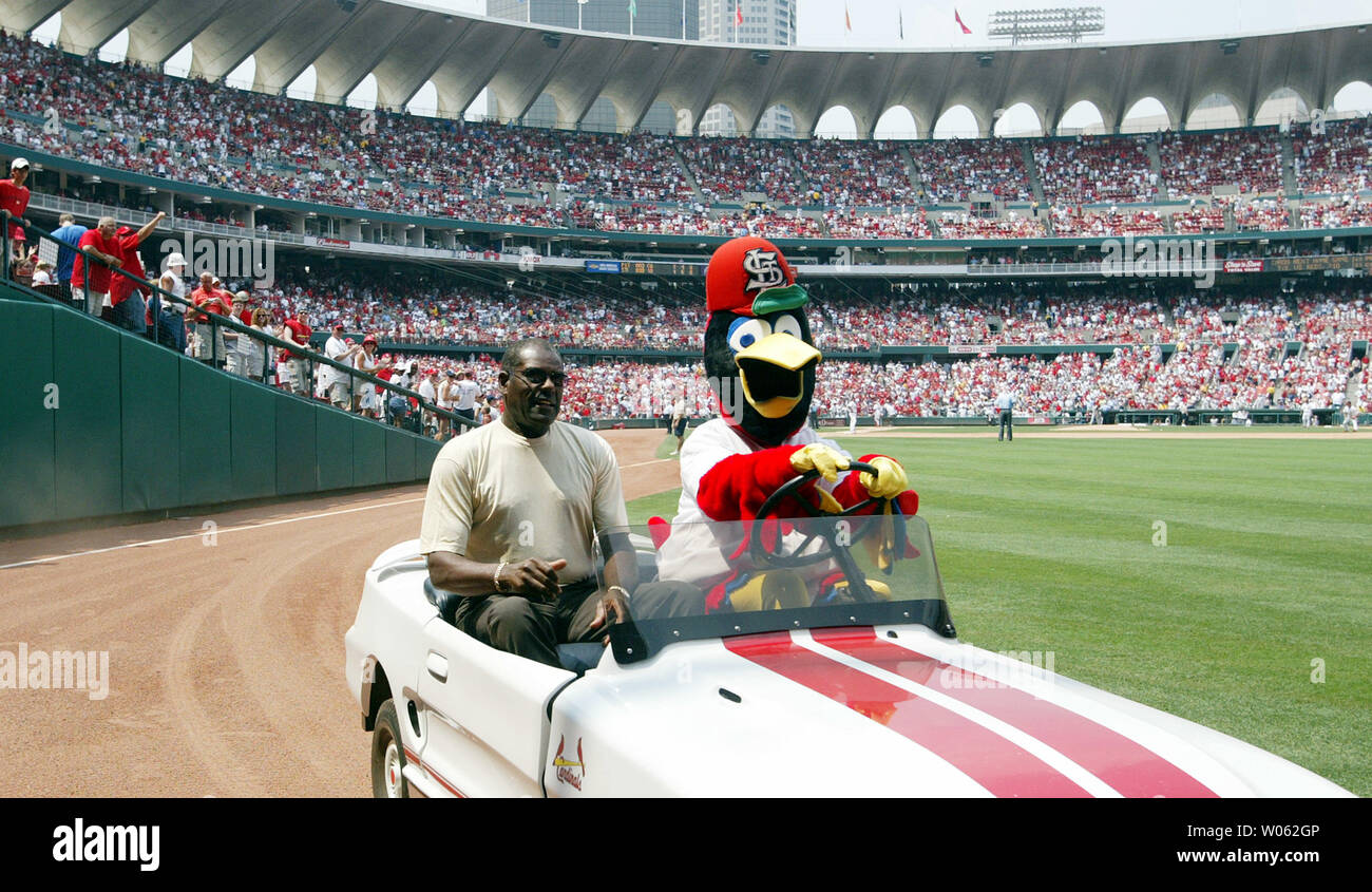 Photo: St. Louis Cardinals Mascot Fredbird - SLP2020082403 