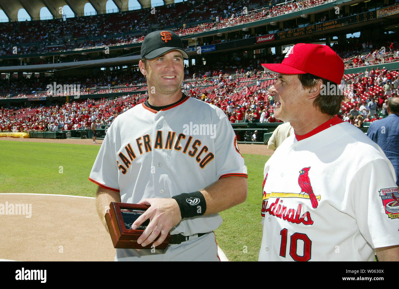 2013 World Series: Cardinals' Mike Matheny steps on land mine – Twin Cities