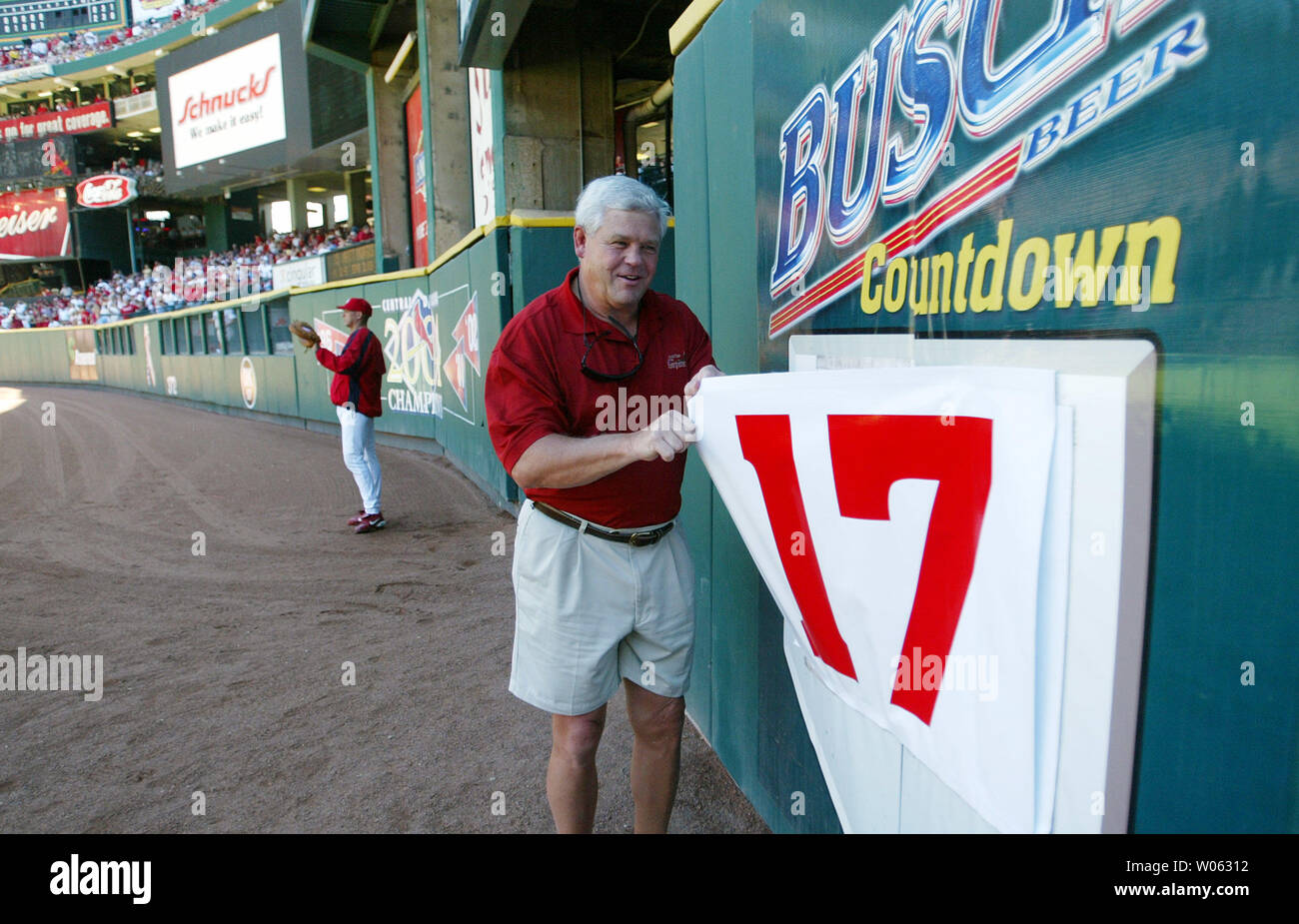 Quarterback Jim Hart of the St. Louis Cardinals drops back to pass  St  louis cardinals football, Cardinals football, Cardinals football team