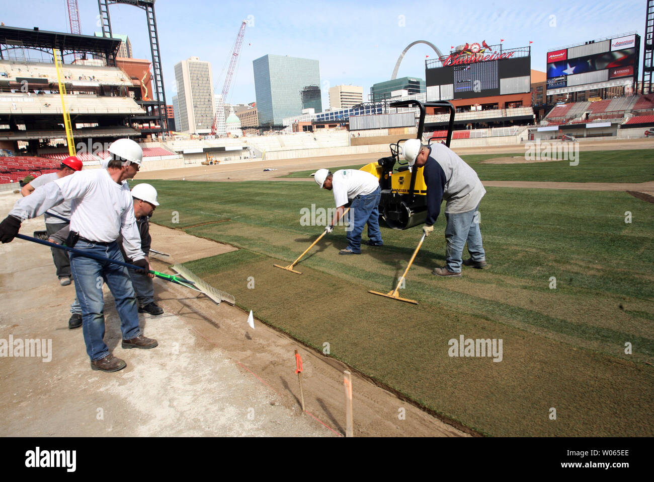 Grounds crew members position sod grass on the infield of the new Busch Stadium in St. Louis on March 15, 2006. Nearly 20 truckloads of sod from Fort Morgan, CO will cover the Busch Stadium playing surface, about 100 thosand square feet. The Cardinals will play their first game in the new facility on April 10. (UPI Photo/Bill Greenblatt) Stock Photo