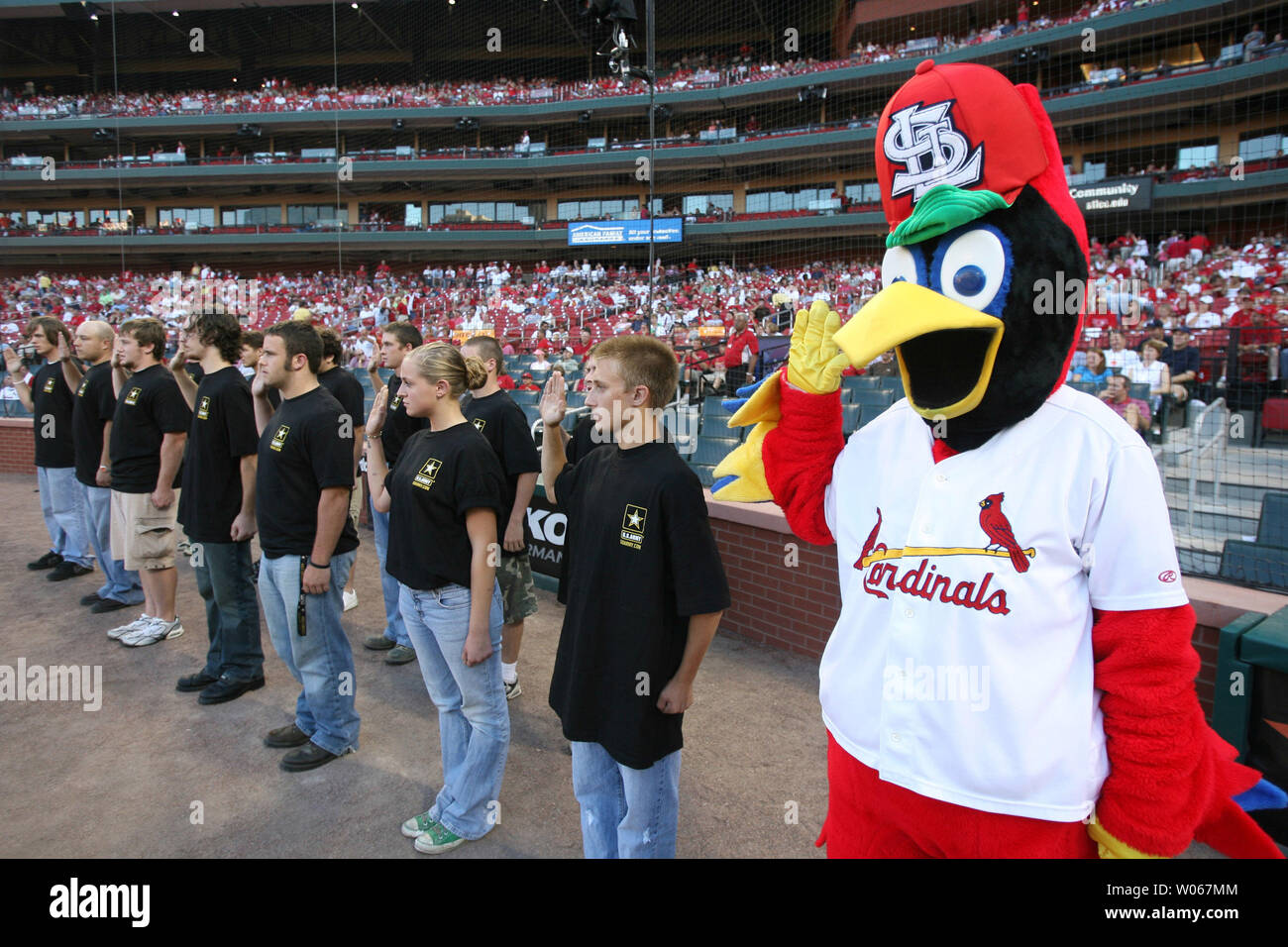 St Louis Cardinals Fredbird Mascot t-shirt by To-Tee Clothing - Issuu