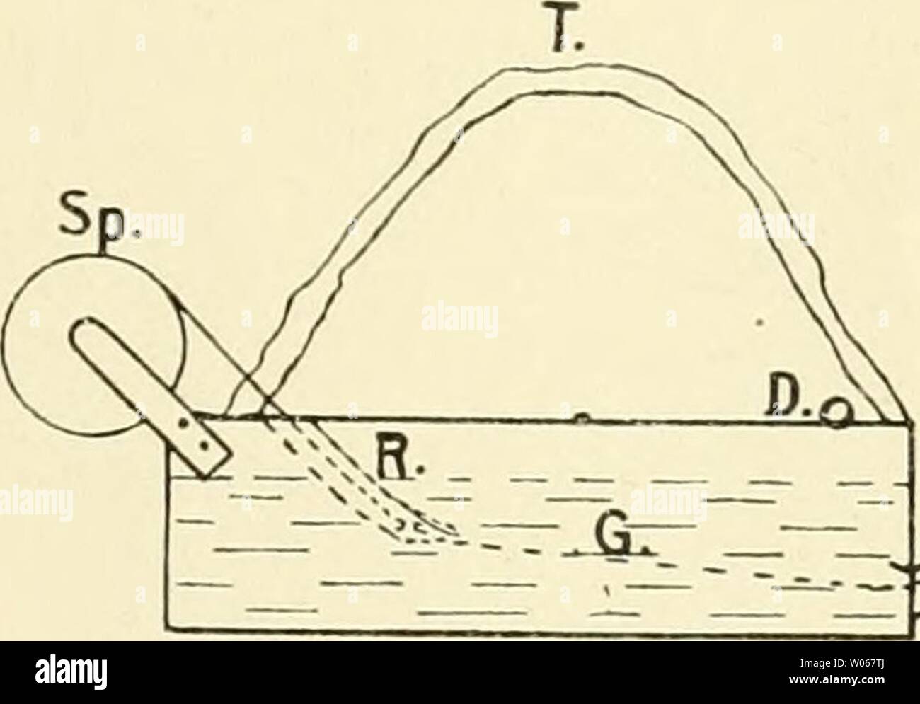 Archive image from page 394 of Die forstinsekten Mitteleuropas Ein lehr-. Die forstinsekten Mitteleuropas. Ein lehr- und handbuch  dieforstinsekten01esch Year: 1914  Die technische Bekämpfung. 377 den Strick so weit heraus, bis eine etwa 2—3 m lange geleimte Strickbahn erscheint. Hiernach hängt der Arbeiter den Apparat rechtsseitig (mit durchgestecktem rechten Arm) um den Hals, faßt mit beiden Händen das Leitungsrohr und schlägt mit diesem nach Art eines Peitschenhiebes das herabhängende Strickende in der ge- wünschten Höhe um den Stamm. Je nach der herausragenden Stricklänge wird sich der Str Stock Photo