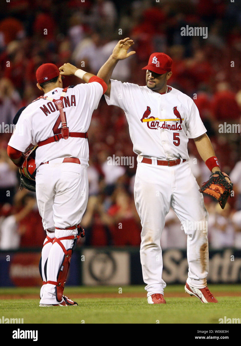 St. Louis Cardinals Albert Pujols (R) bumps elbows with teammate Yadier  Molina as the two celebrate after defeating the Florida Marlins 13-6 at  Busch Stadium in St. Louis on August 30, 2006. (