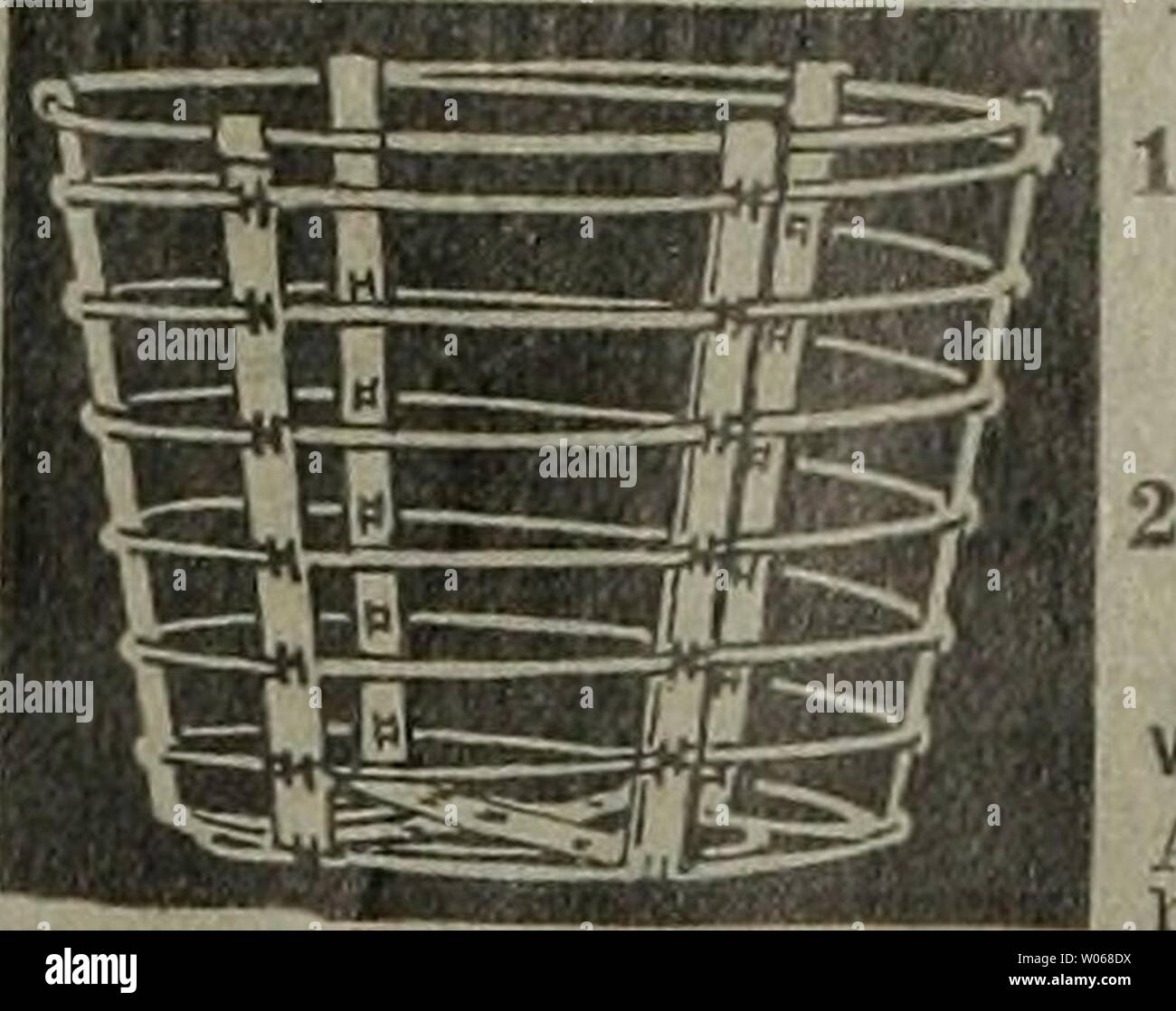 Archive image from page 397 of Die Gartenkunst (1899) Stock Photo