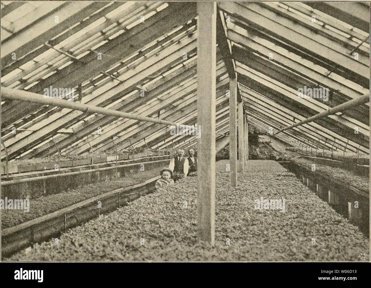 Wandsbek Stock Photos Wandsbek Stock Images Alamy