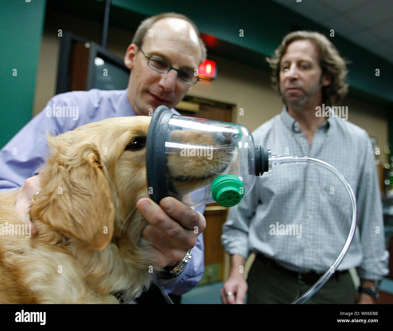 Jeff Jensen demonstrates the new pet oxygen mask on Foster the dog while friend Matt Brazelton (R) looks on after their donation of 36 sets of pet oxygen masks to the St. Louis Fire Department in St. Louis on April 16, 2008. Jensen and Brazelton, co-owners of Four Muddy Paws, a self-service dog washing service in St. Louis, donated the masks, enough for each frontline fire apparatus. Each set contains three masks which are designed for large or small dogs, cats and ferrets.   (UPI Photo/Bill Greenblatt) Stock Photo
