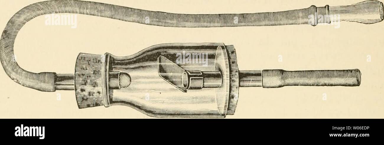 Archive image from page 419 of Die forstinsekten Mitteleuropas Ein lehr-. Die forstinsekten Mitteleuropas. Ein lehr- und handbuch dieforstinsekten01esch Year: 1914 402 Kapitel MII. Allgemeine Übersicht über das System der Insekten. Sammelutensilien zu versehen, von denen hauptsächlich folgende in Be- tracht kommen: ein Stemmeisen mit Hammer I ein kräftiges Messer zum Herausarbeiten der eine Säge (der Bequemlichkeit halber eine i Rinden-und Holzinsekten, zusammenklappbare) ' Kig. 236. Exhaustor. Sammelglas zum schnellen und sicheren Einsammeln der Insekten aus dem Klopfschirm, ans Fraßgä Stock Photo