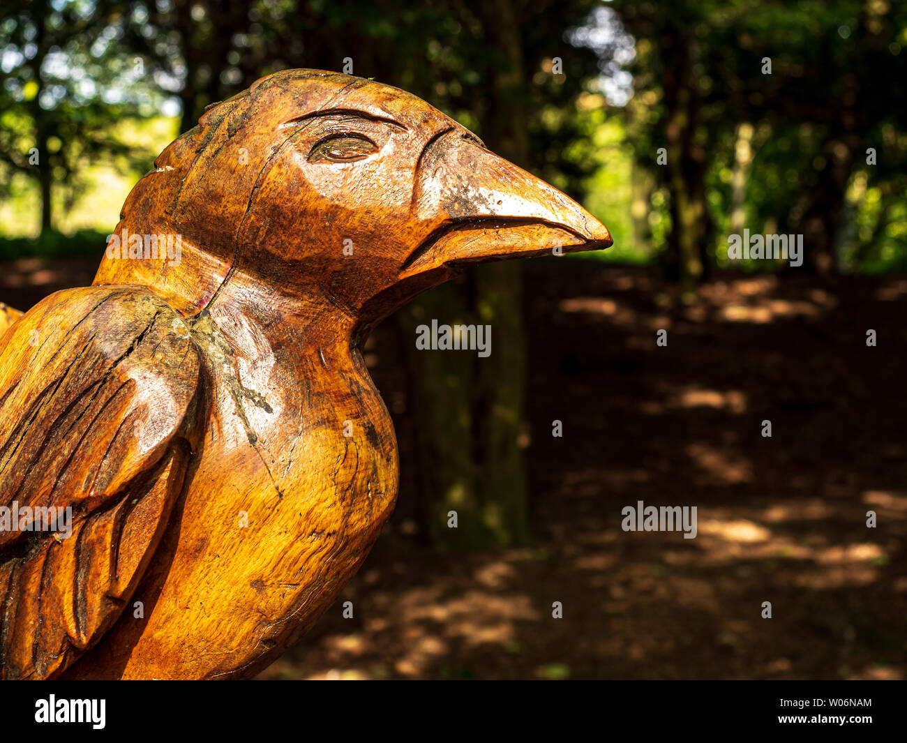 Large wooden carving of a crow in woodland at the North Yorkshire Moors Visitor Centre Stock Photo