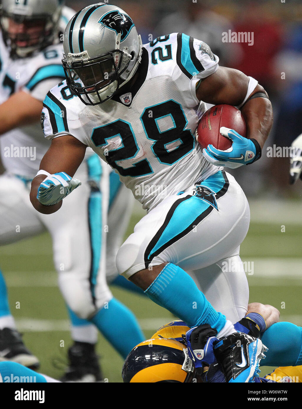 Carolina Panthers Jonathan Stewart  runs for little yardage in the second quarter against the St. Louis Rams at the Edward Jones Dome in St. Louis on October 31, 2010.  St. Louis defeated Carolina, 20-10. UPI/Bill Greenblatt Stock Photo