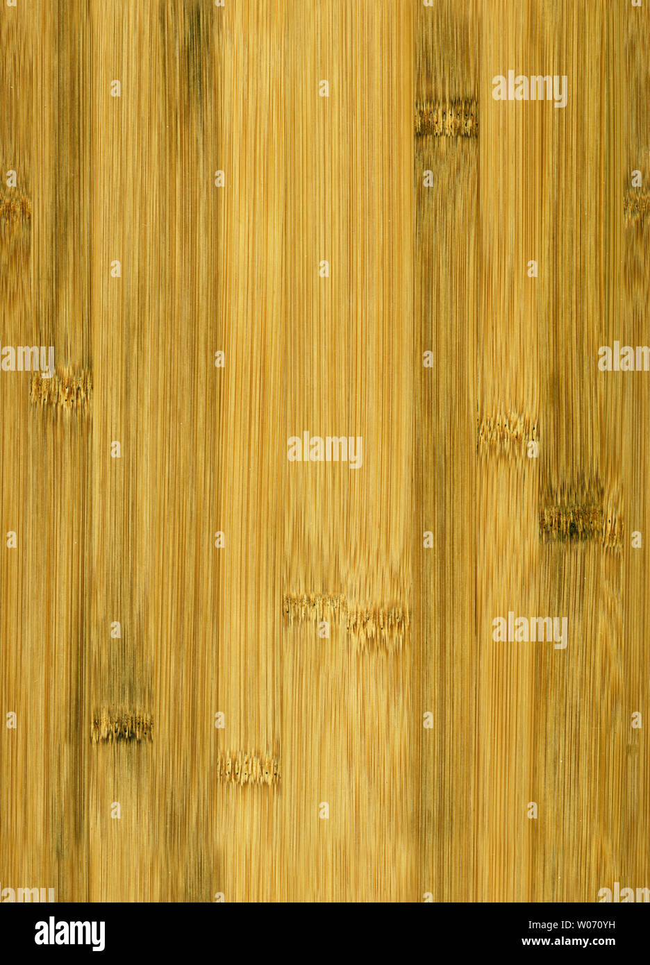 High Resolution Seamless Bamboo Texture Stock Photo Alamy