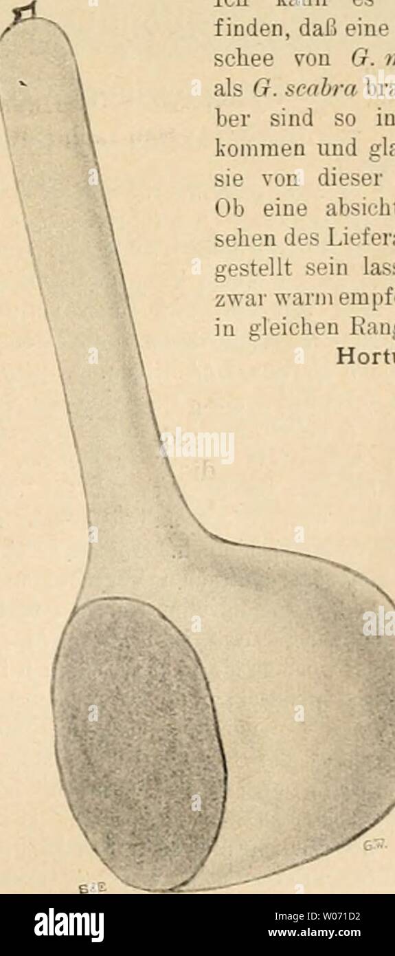 Sie Haben Es In Der Hand High Resolution Stock Photography And Images Alamy