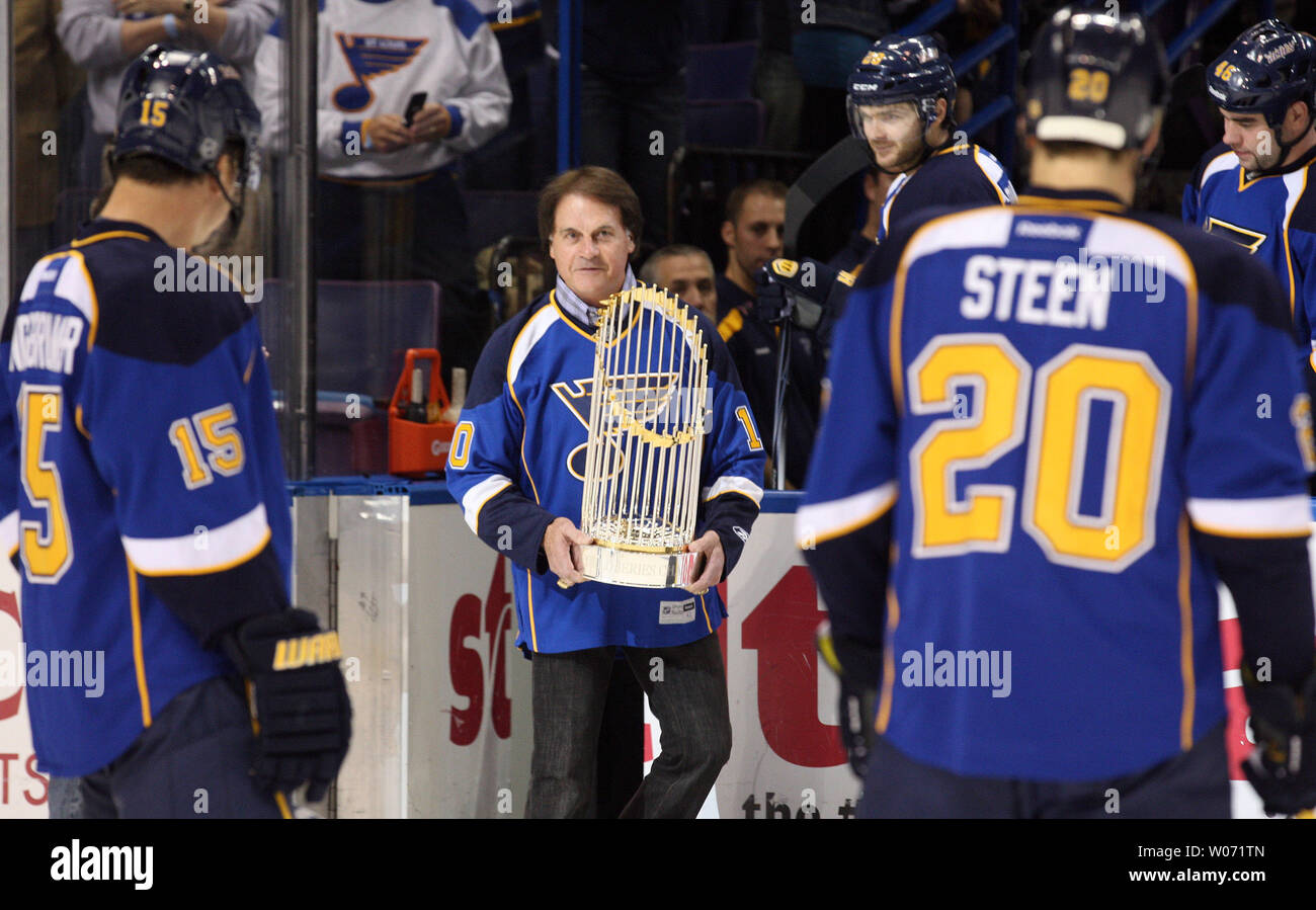 st louis blues cardinals jersey