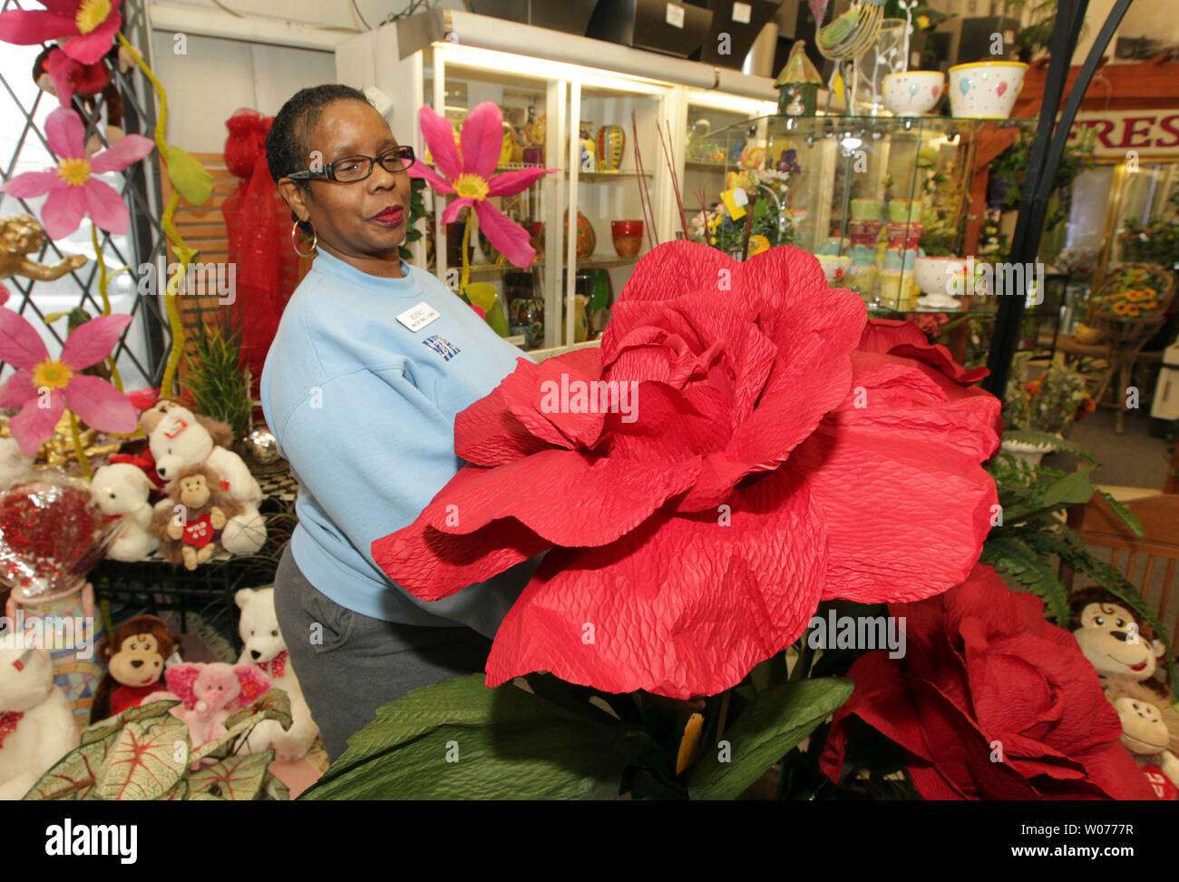 Store Sold Bad Roses Here are some flowers that were being sold at store hi-res stock ...