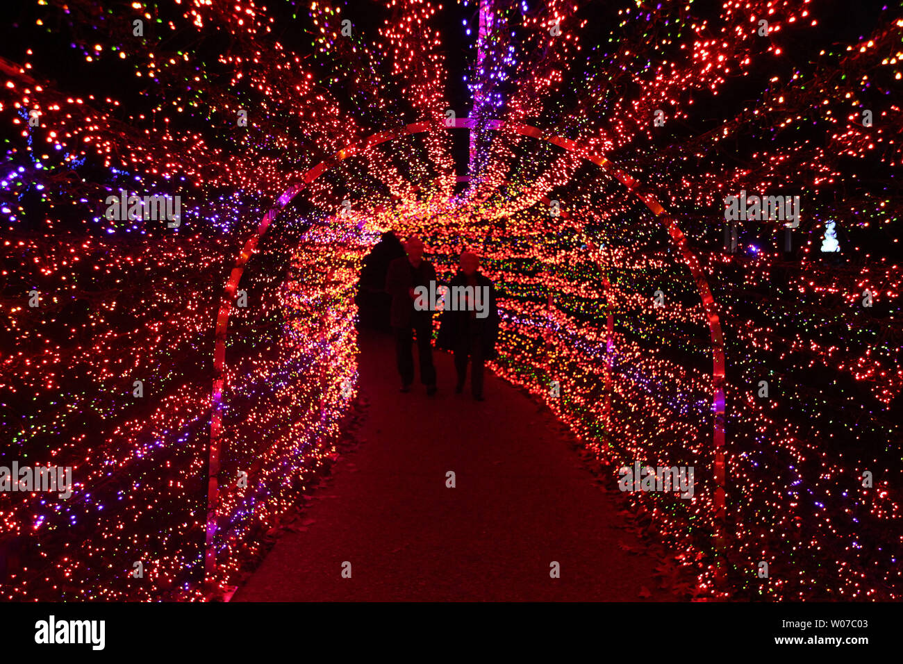 Visitors To The Garden Glow Display At The Missouri Botanical