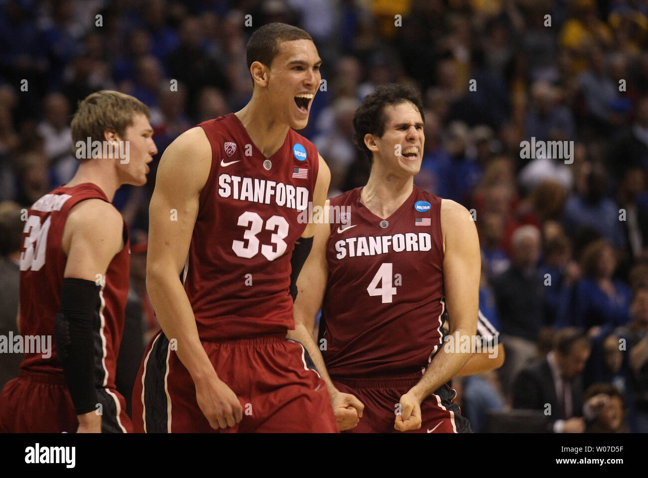 https://c8.alamy.com/comp/W07D5F/stanford-cardinal-players-dwight-powell-33-and-stefan-nastic-4-celebrate-their-60-57-win-over-kansas-as-the-buzzer-sounds-in-the-ncaa-division-1-mens-basketball-championship-game-at-the-scottrade-center-in-st-louis-on-march-23-2014-upibill-greenblatt-W07D5F.jpg