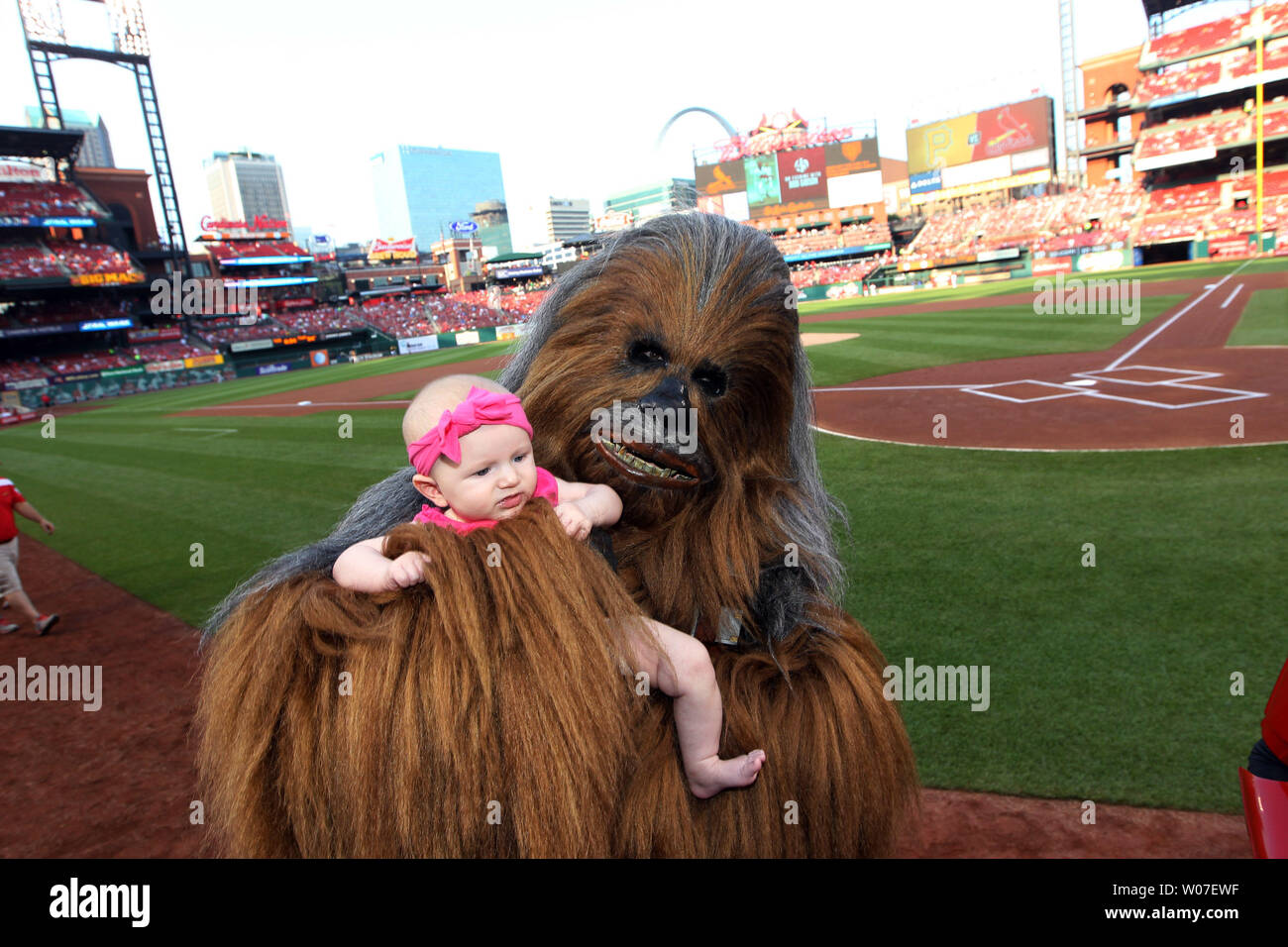Star Wars character Chewbacca plays with three month old Elsie Klopstein of  Germany before the Pittsburgh Pirates- St. Louis Cardinals baseball game on Star  Wars Night at Busch Stadium in St. Louis